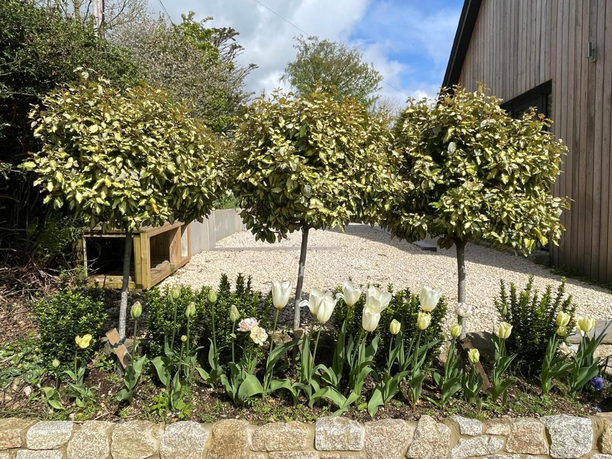 Cedar House Hostal Ilsington Exterior foto